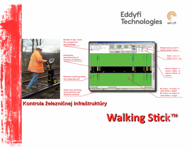 Walking Stick™